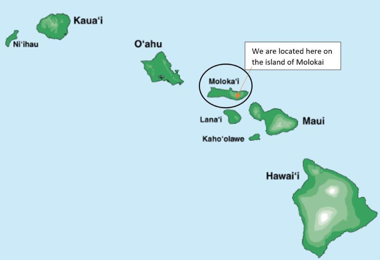 UalapueMolokai Island Retreat With Beautiful Ocean Views And Pool - Newly Remodeled!公寓 外观 照片